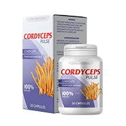 Cordyceps Pulse